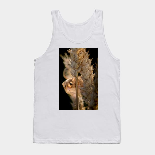 Harvest Mouse on Ear of Corn Tank Top by GrahamPrentice